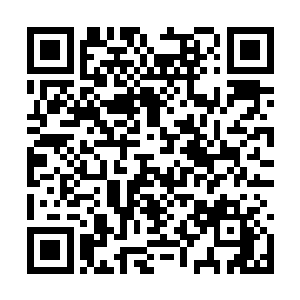 我看着几只跟米粒一般大的虫子顺着元辰夕的指尖二维码生成