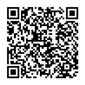 我看雅晴这丫头想要完全适应掌控体内的十种异火不会彼此碰撞发生问题二维码生成