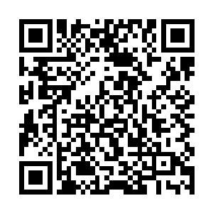 我真不知道史密斯的电影能如何解读这个气味的世界二维码生成