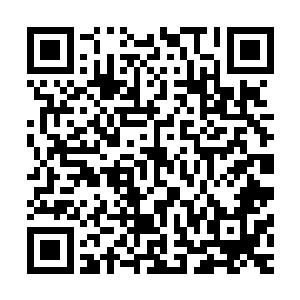 我真的不知道她是不是到死了那天满脸还是都写满了不会后悔二维码生成