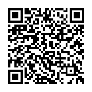 我第一件事情就是免了大荒所有城市一年的税收二维码生成