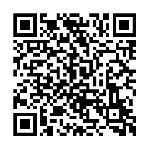 我紧咬着牙关尽量让自己一脸淡定的模样看着他二维码生成