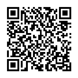 我给晶姐安排在唐晓菲身旁的那个叫丽红的女生打过去电话二维码生成