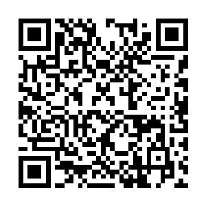 我绝不会认为你这样的人会去巴结领外的文明种族二维码生成