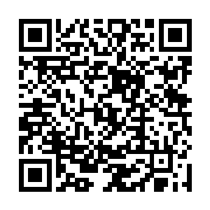 我能见证这一桩除了我们当时几人再也无人知道的秘密二维码生成