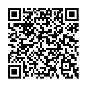 我脑海里浮现出了沈晴那不屑的微笑和她那句话二维码生成
