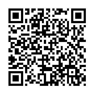 我要用他们的人头來祭奠老李以及他家人的亡魂二维码生成