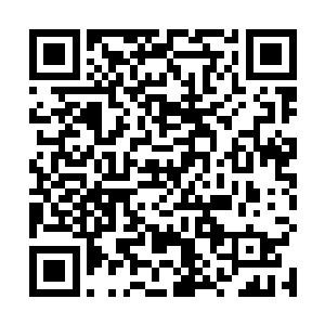 我要看到白河谷地守备队二十人全员齐整地站在我面前二维码生成