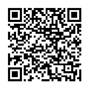 我见一个媳妇子拉着个胖小子往里头去敲你家门了二维码生成