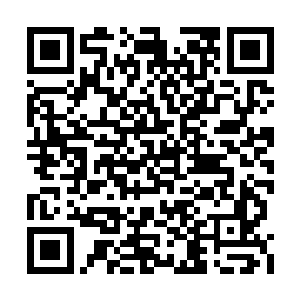 我认识的一位集团老总想为他们公司的员工配车二维码生成