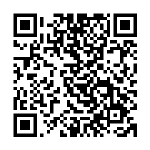 我记得你当时在文章中对王媛媛小朋友跳楼案表达了自己的疑问二维码生成