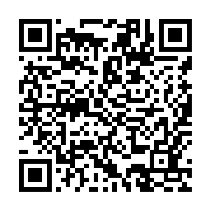 我记得我在云雾中睡了一觉醒来就在那个布什么破宫里二维码生成