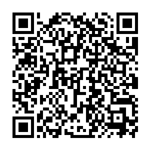 我说多数看似风光职业背后都是一把辛酸泪内里的苦和无奈不是外人能够明白的二维码生成