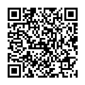 我谨代表航空公司和全体几组人员向您表示深深的感谢二维码生成