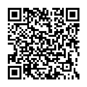 我还以为是会务处舍不得这套纪念品怕人冒领呢二维码生成