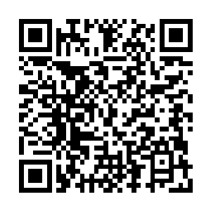 我还想跟你拜师学艺怎么投胎才能投到市长家呢二维码生成