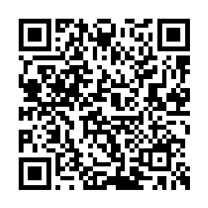 我这个做舅舅的也能猜出大侄女女儿的父亲是谁二维码生成