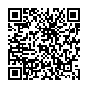 我都希望看到一个阵痛之后焕发新生活力的产业群和经济体二维码生成