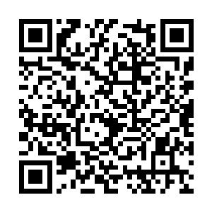 我都要把你和太古剑城的那位绝世天骄联系在一起二维码生成