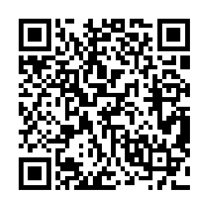 我隐隐感觉这世间三百年来阴沉着一个很大很大的阴谋吧二维码生成