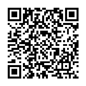 我集中注意力记清楚每一次楚天中在分岔路口的选择二维码生成