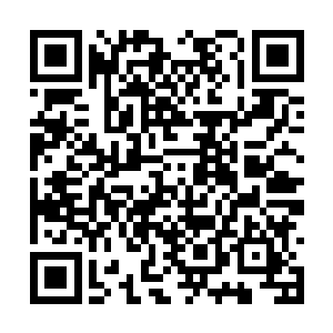 我需要凭借良好的经商业绩来取得家族长老的信任二维码生成