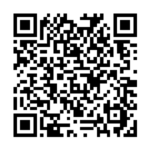 或者唯一此时能够保持正常神色的就是蒂姆·库克了二维码生成