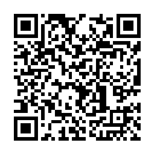 或者用无生命的金属和矿石来组装灵能傀儡的现象二维码生成