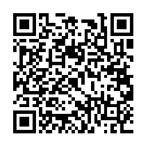 或者说对他们三只血妖姬其实并没有那么大的作用二维码生成