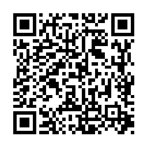 或者说有人还没等欺负自己就被龙战给打老实了二维码生成