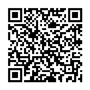 或者说林封谨能够拥有东山羊在风水方面的才情见识二维码生成