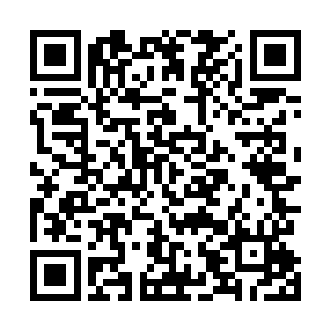 或许他们拥有着连梦多拉星系都没有发现的技能也说不定二维码生成