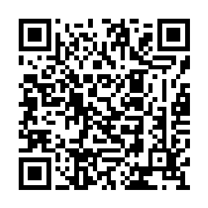 或许她真的执着过想要成为一个大贤大德的皇后二维码生成