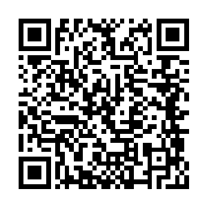 或许对于拍卖行而言低级材料无法获得什么利益二维码生成