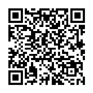 或许我多年没有晋级化形境就是因为没有找到合适的对手二维码生成