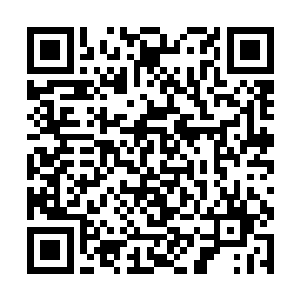 或许我就能知道棱血柱和天风云烟珠究竟有多大差异二维码生成