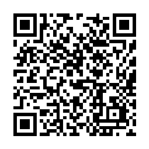 或许是因为将大部分力量注入到了楚旬体内的原因二维码生成