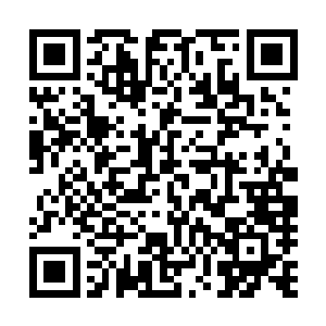 或许解说和观众们在看到这个单杀以后都会觉得太不可思议二维码生成