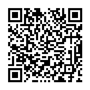 战争巨兽一次又一次的被剑尘和琴圣天魔女两人联手给碎尸万段二维码生成