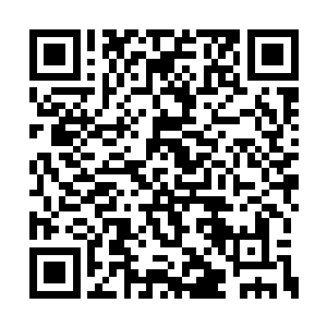 战士们更偏向于高等级的猎物也有这方面的原因二维码生成