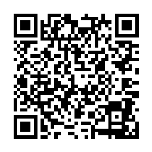 战队比赛的奖金池从一千万华元增加到两千万华元二维码生成