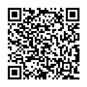 戴上薄膜手套翻找衣物的动作更是和之前土匪作风有天壤之别二维码生成