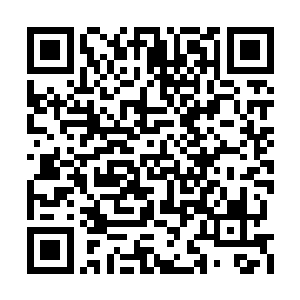 所以……接下来是否要采取这种危险的治疗方法二维码生成