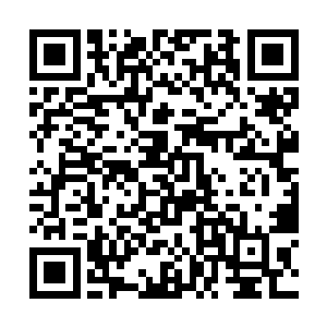 所以一路上她便经常地将自己的手按在不同的植物上二维码生成