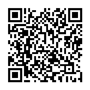 所以七大分宗都会耗费大量的心血培养出一个宗主亲传弟子二维码生成