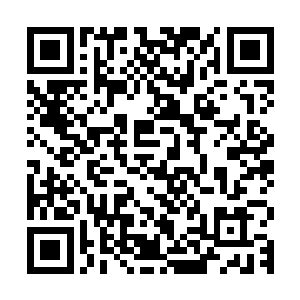 所以主任在和陆为民交谈时也专门谈到了陆为民长期在基层工作二维码生成