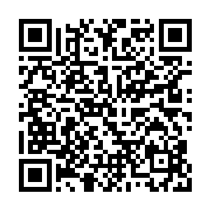 所以他们化龙成功之后的境界一般都在元婴初期二维码生成