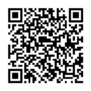所以他们都把自己的信得过的弟子啊门徒什么的煽动起来二维码生成
