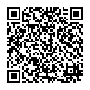所以他在穆扬灵比划到第五式的时候就发现她所练的拳法看着简单二维码生成