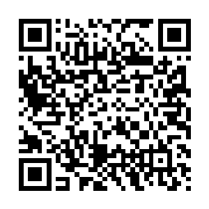所以叛军一定会以为政府军的脑科菲将军就我们这支部队之中二维码生成
